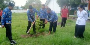 Dukung Gerakan “Peduliki Saya Jagaki”, Camat Tomtim Tanam Pohon Mangga di SMPN 1 Tomoni Timur