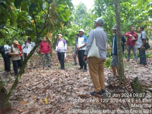 Tim Dirjen Perkebunan Kunjungi Kebun Sumber Entris Kakao di Luwu Timur