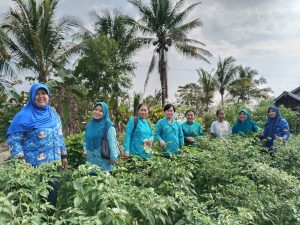 TP PKK Kecamatan Tomoni Timur Melakukan Monev Administrasi PKK Desa