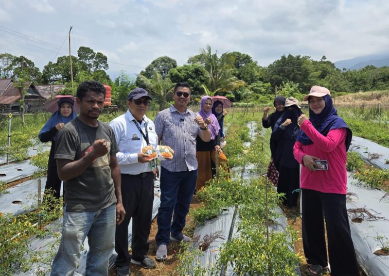 Reformer PKA Lutim Perkenalkan dan Implementasikan Metode Smart Farming pada Tanaman Cabai