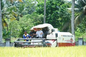 Bupati Irwan Dorong Kemajuan Pertanian Luwu Timur